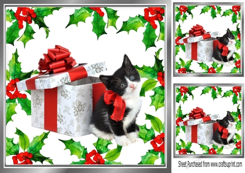 Lovely Holly and red berry card front with kitten & present