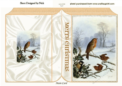 Lovely Robins in the snow folded book