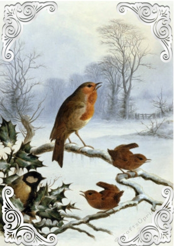 Lovely Robins in the snow A4