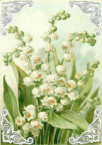Lovely Vintage Lily Of The Valley A4