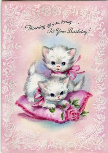Cute white kittens sat on a cushion A4 (Birthday)