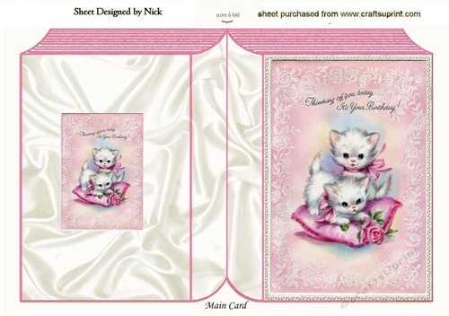 Cute white kittens sat on a cushion folded book (Birthday)