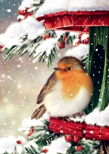 Lovely Robin in the snow A4
