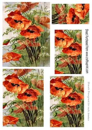 Beautiful Red Poppies Pyramids