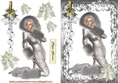Pretty Lady Dressed in Silver Fur