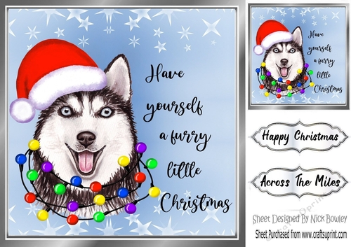 Cute little dog in santa hat 8x8 (two)