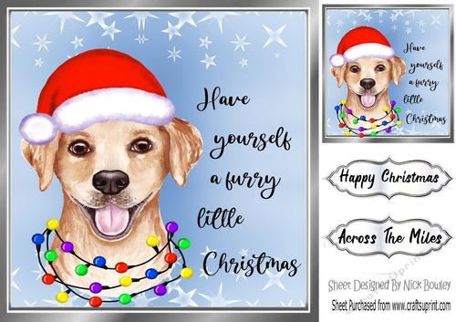 Cute little dog in santa hat 8x8 (three)