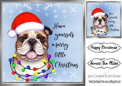Cute little dog in santa hat 8x8 (four)