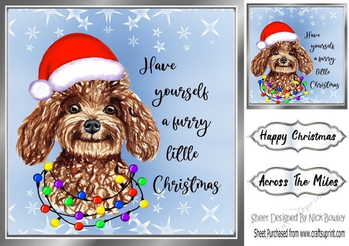 Cute little dog in santa hat 8x8 (five)