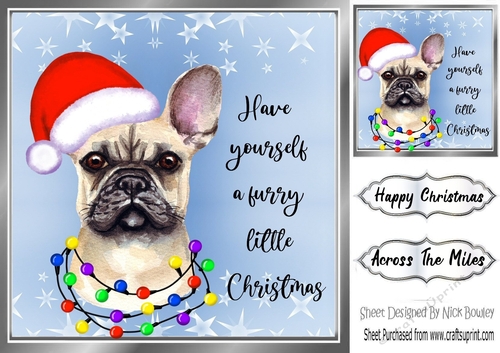 Cute little dog in santa hat 8x8 (seven)