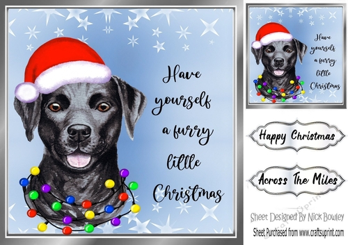 Cute little dog in santa hat 8x8 (six)