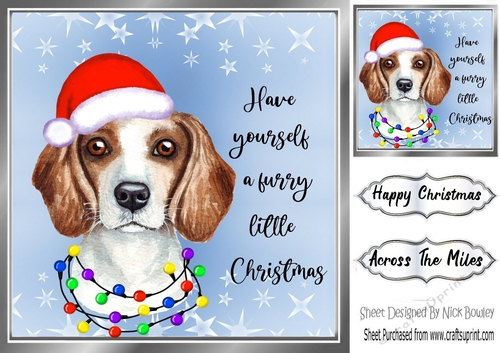 Cute little dog in santa hat 8x8 (eight)