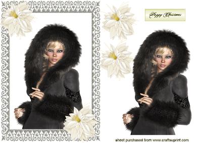 Pretty Lady in Black Fur in Diamonte Frame