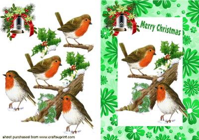 Playful Robins in the Snow