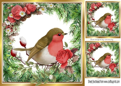 pretty robin with berries and roses 8x8