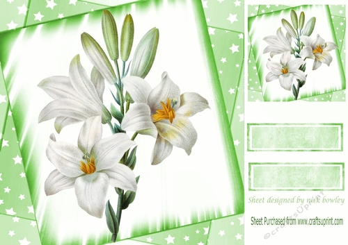 pretty white lilies with stars 8x8