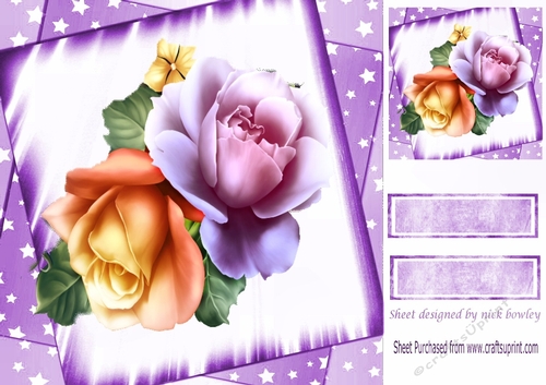 pretty roses purple and peach with stars 8x8