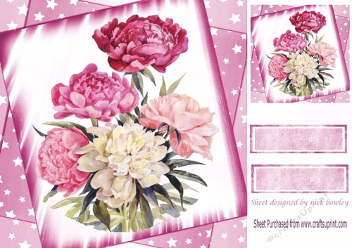 pretty pink shades of peonies with stars 8x8