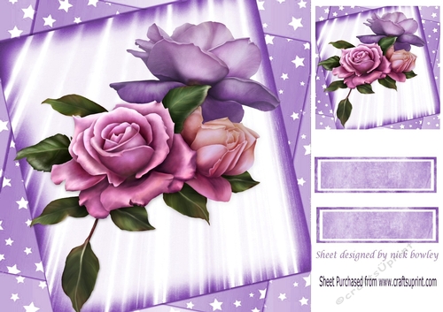  pink and lilac shades of pretty roses with stars 8x8