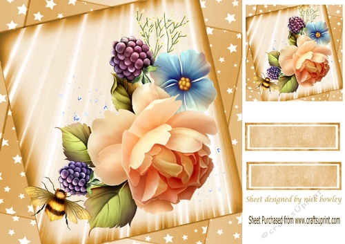 Peach shades of pretty roses with stars 8x8