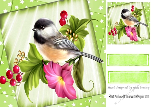 Pretty Bird with flowers And Stars 8x8 Card Front