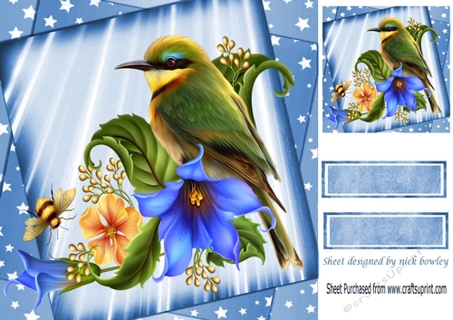 Pretty tropical  Bird with flowers And blue Stars 8x8 Card Front