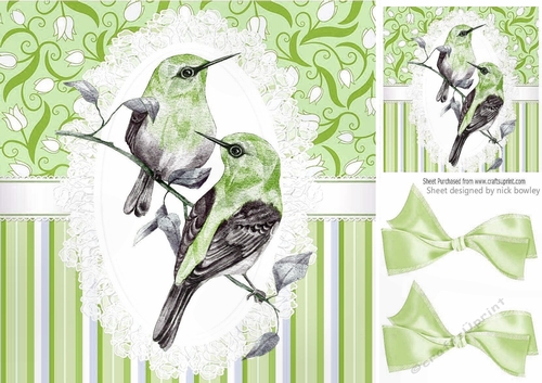 Pretty painted green/grey birds on  lace with bows 8x8