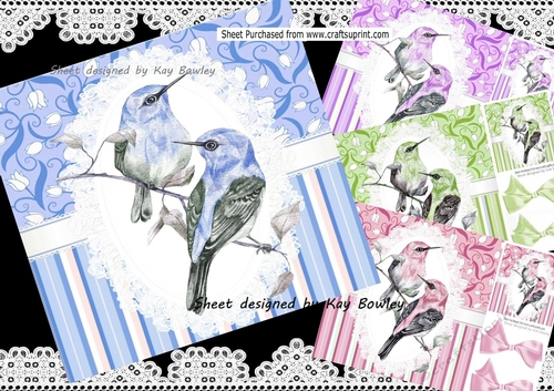  4 Pretty painted coloured birds on  lace with bows 8x8 Mini kit