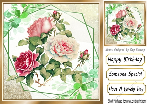 Pretty pink shades of garden roses 8x8