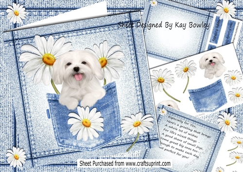 Cute White Dog With Daisies in Denim Pocket  8x8 Mini kit