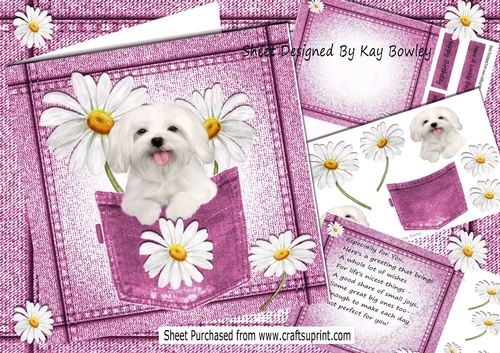 Cute White Dog With Daisies in Pink Denim Pocket  8x8 Mini kit