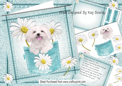 Cute White Dog With Daisies in turq Denim Pocket  8x8 Mini kit