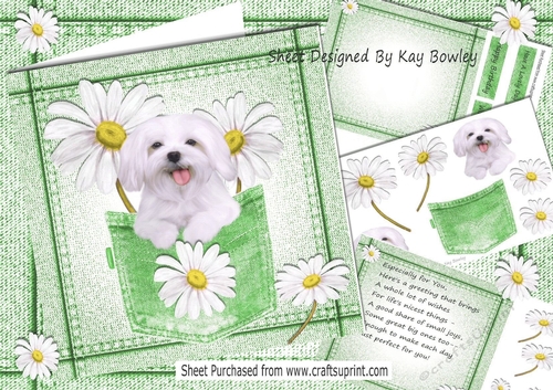 Cute White Dog With Daisies in Green Denim Pocket  8x8 Mini kit
