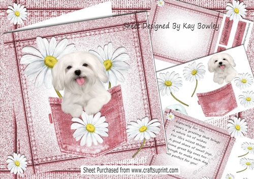 Cute White Dog With Daisies in Rose Denim Pocket  8x8 Mini kit