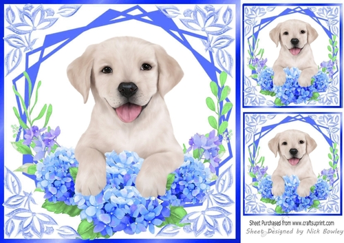 Cute Labrador Puppy with blue flowers 8x8