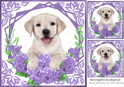Cute Labrador Puppy with purple flowers 8x8