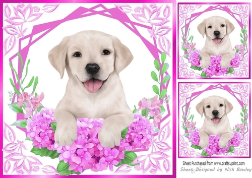 Cute Labrador Puppy with Cerise flowers 8x8
