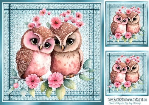 Lovely Owls Cuddling Stitched Denim Blue Card Fronts