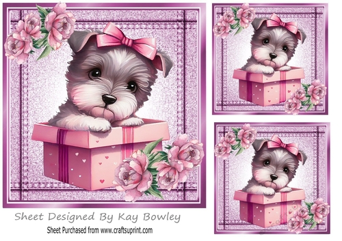 Lovely Denim Pink Card Front 7x7 With Puppy With Box