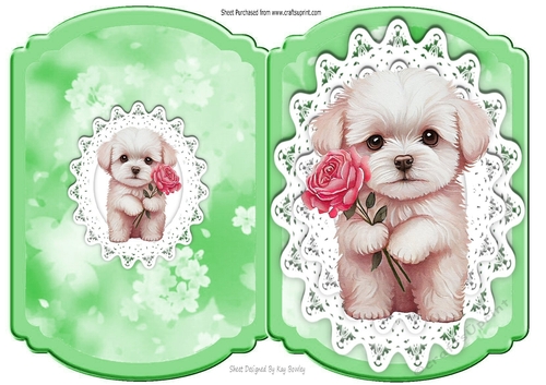Cute Puppy With Rose On Lace Bracket Card