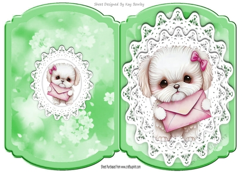 Cute Puppy With A Card On Lace Bracket Card