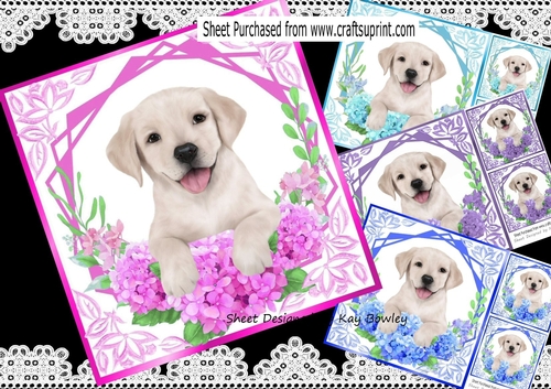  4 Cute Labrador Puppies with flowers 8x8 cards mini kit