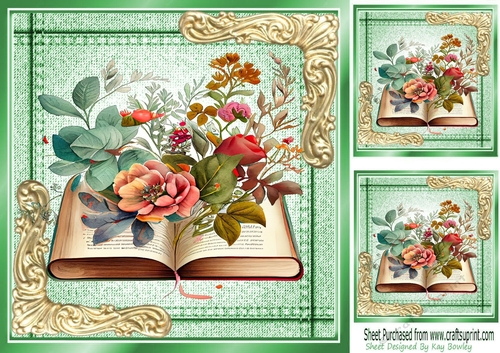 Denim Green With Floral Open Book, Ornate Gold Corners 8x8 (one)