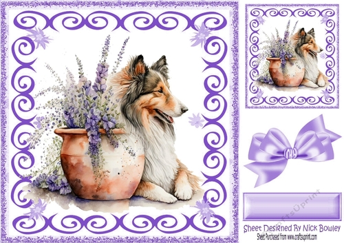 Purple Swirl 8x8 card front with Beautiful Collie and Flowers (one)