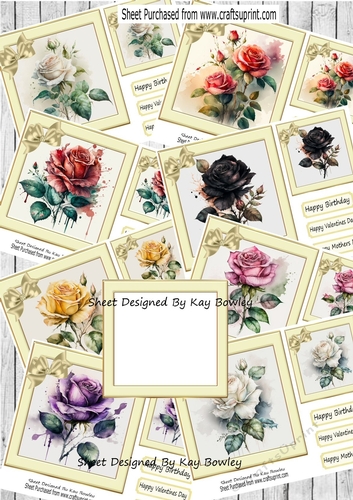  8 Pretty Coloured Roses in Cream Frames With Bows 7x7 BUMPER KIT