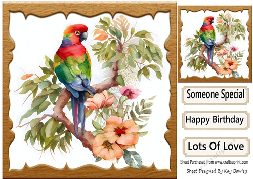  Lovely Parrot  on a Branch with Flowers 8x8 (one)