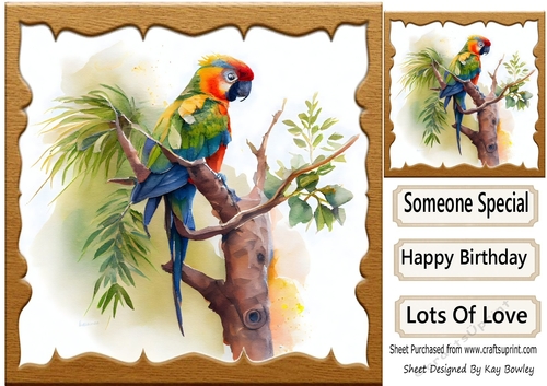 Lovely Parrot  on a Branch with Flowers 8x8 (three)