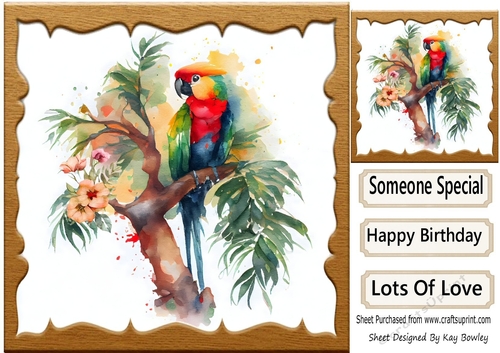 Lovely Parrot  on a Branch with Flowers 8x8 (four)