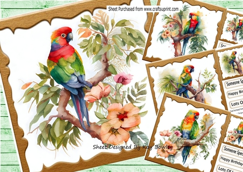  4 Lovely Parrots  on a Branch with Flowers 8x8  Bumper Kit