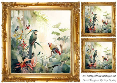 Gold Ornate Frame 8x8, with Exotic Birds Card Fronts (one)